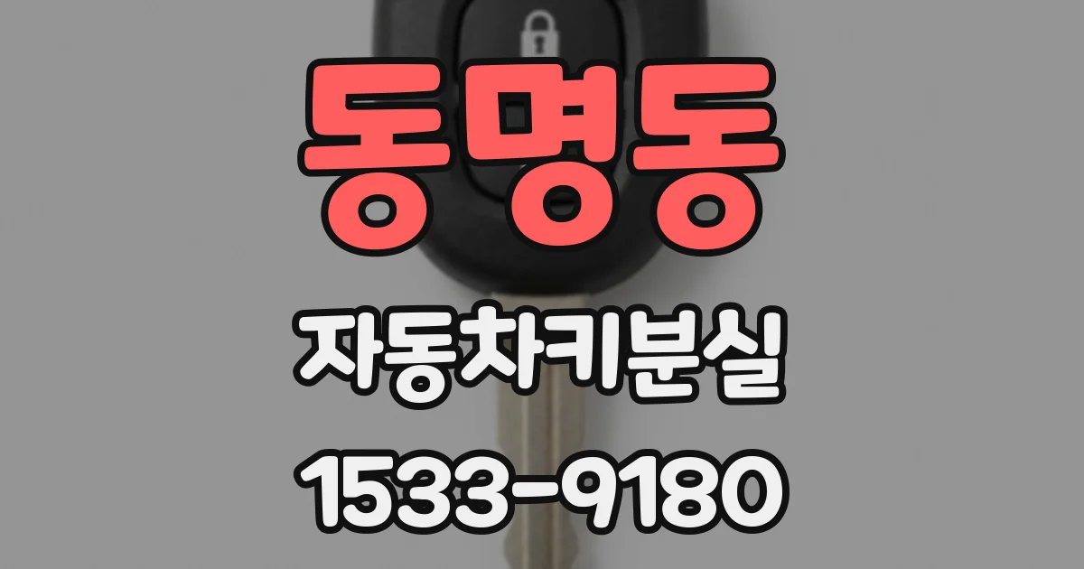 동명동 자동차키분실