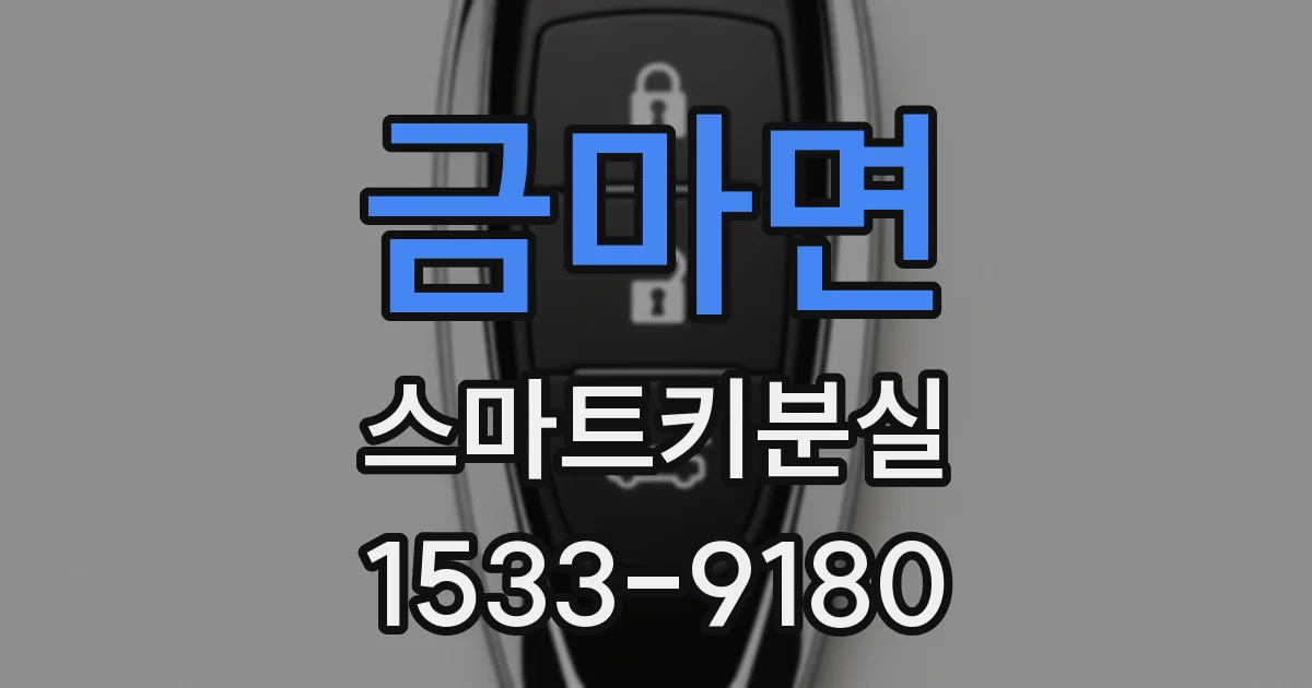 금마면 스마트키분실