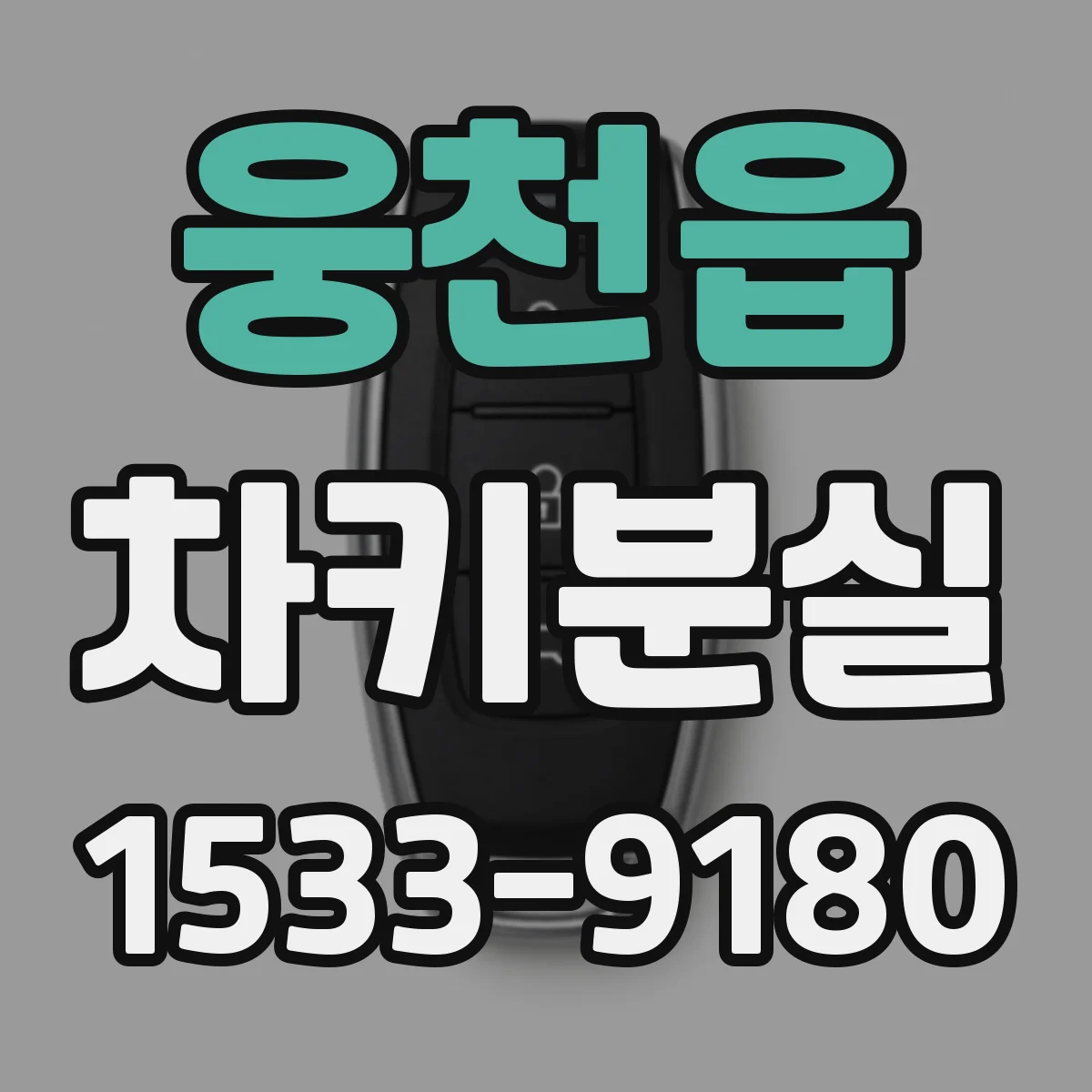 웅천읍 차키분실