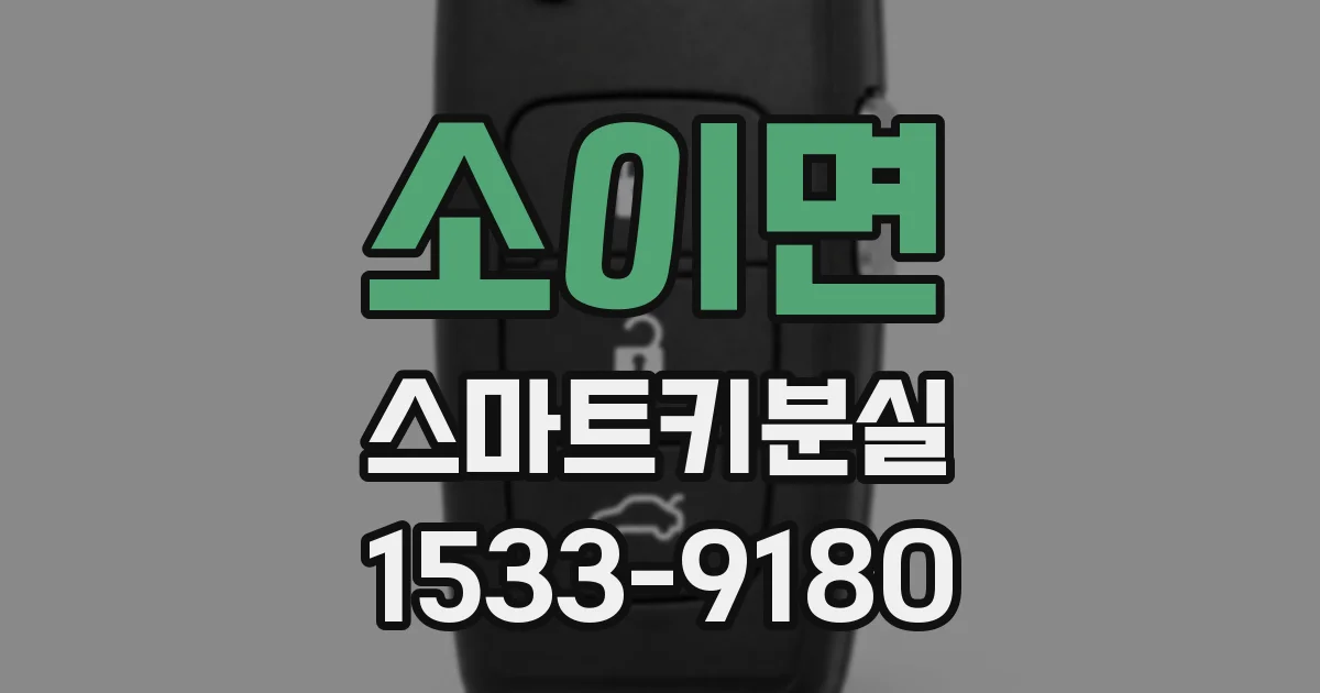 소이면 스마트키분실