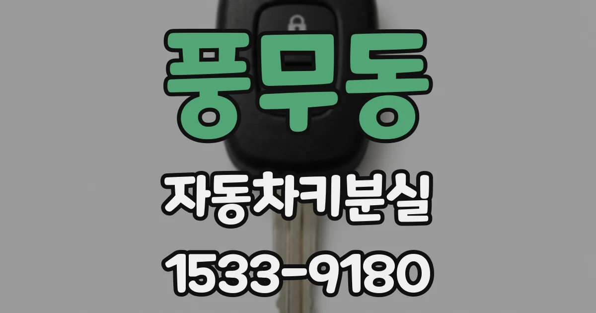 풍무동 자동차키분실