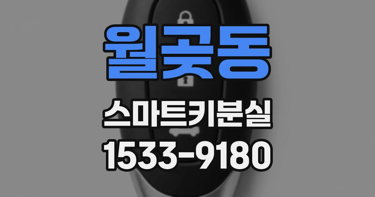 월곶동 스마트키분실