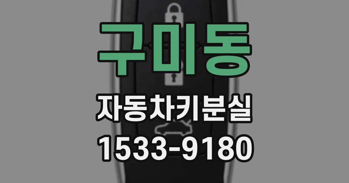 구미동 자동차키분실