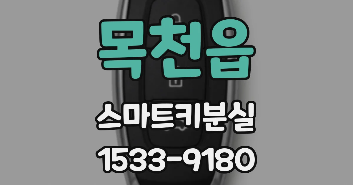 목천읍 스마트키분실
