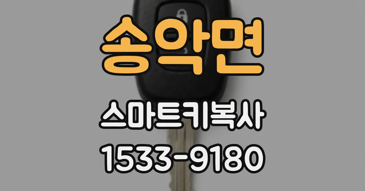 송악면 스마트키복사
