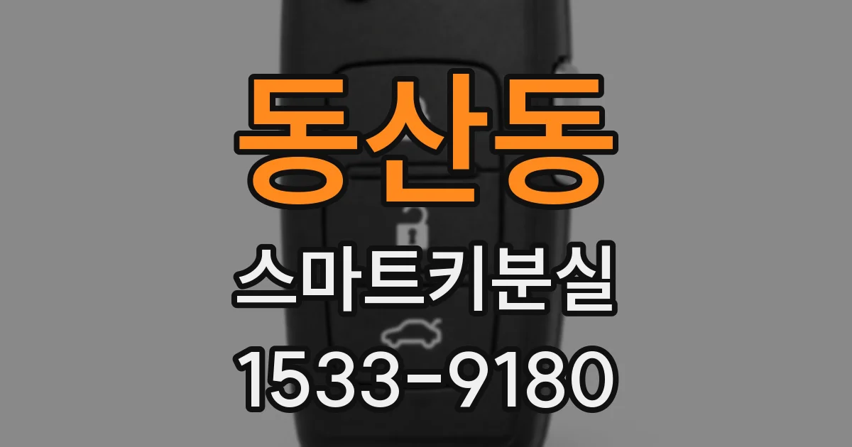 동산동 스마트키분실