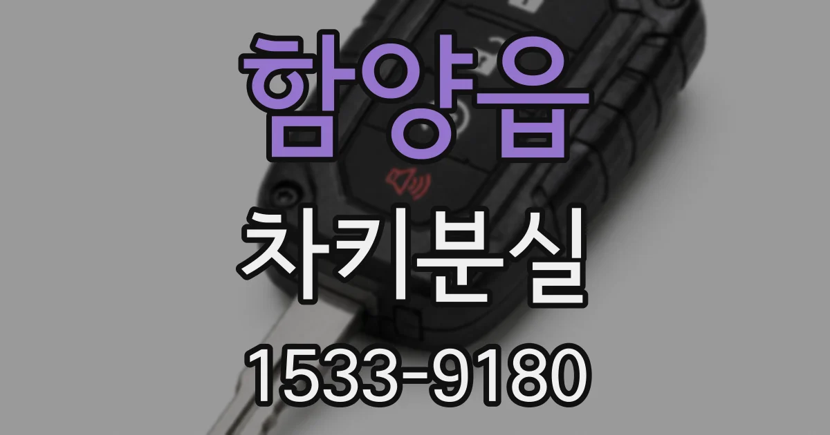 함양읍 차키분실