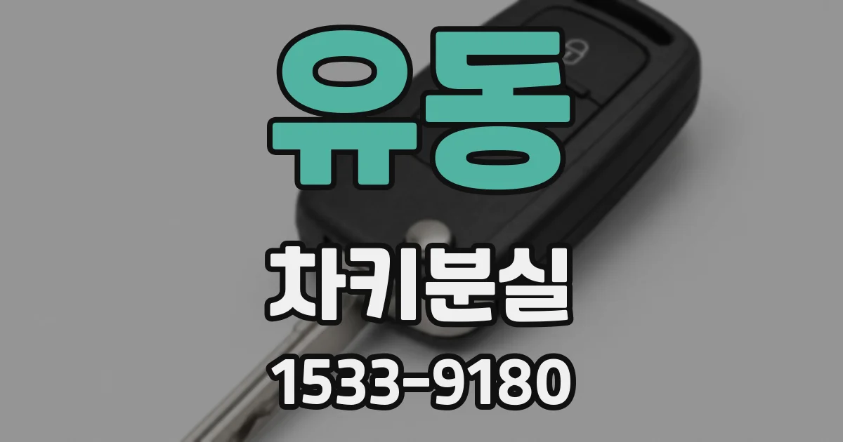 유동 차키분실