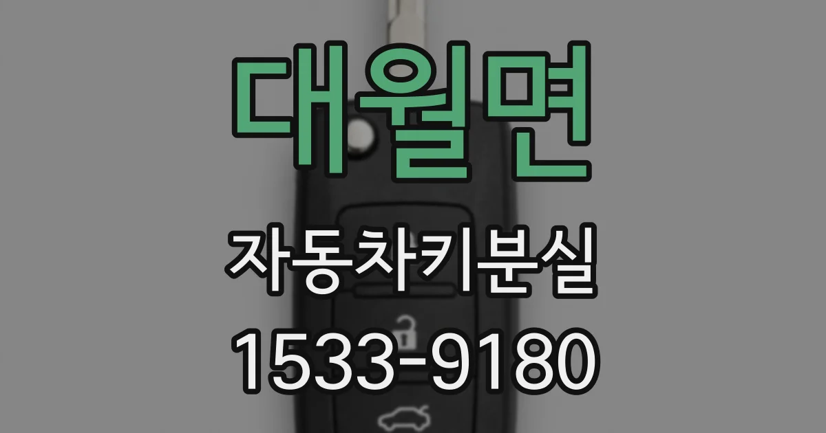 대월면 자동차키분실