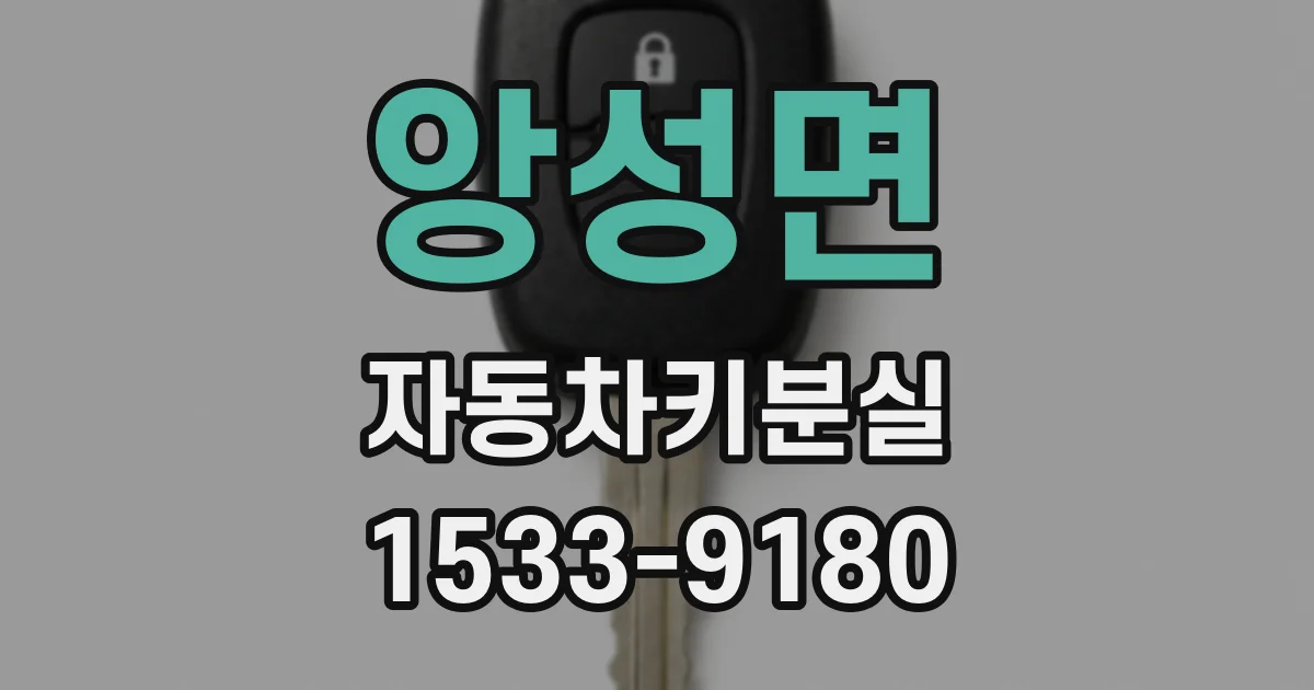 앙성면 자동차키분실