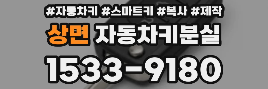 상면 자동차키분실
