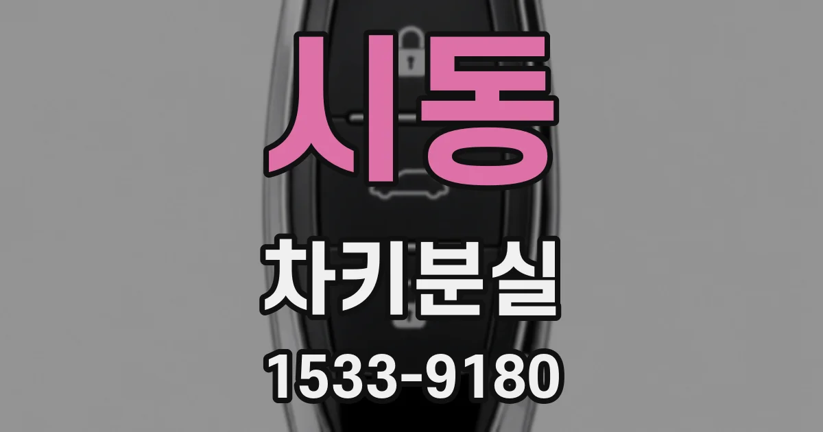 시동 차키분실