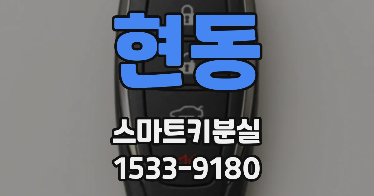 현동 스마트키분실