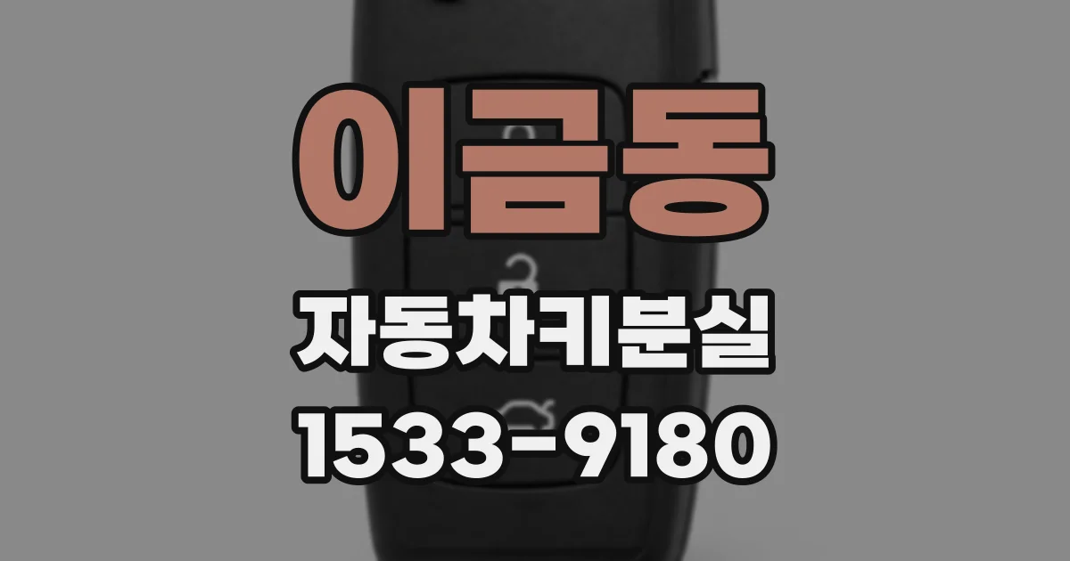 이금동 자동차키분실