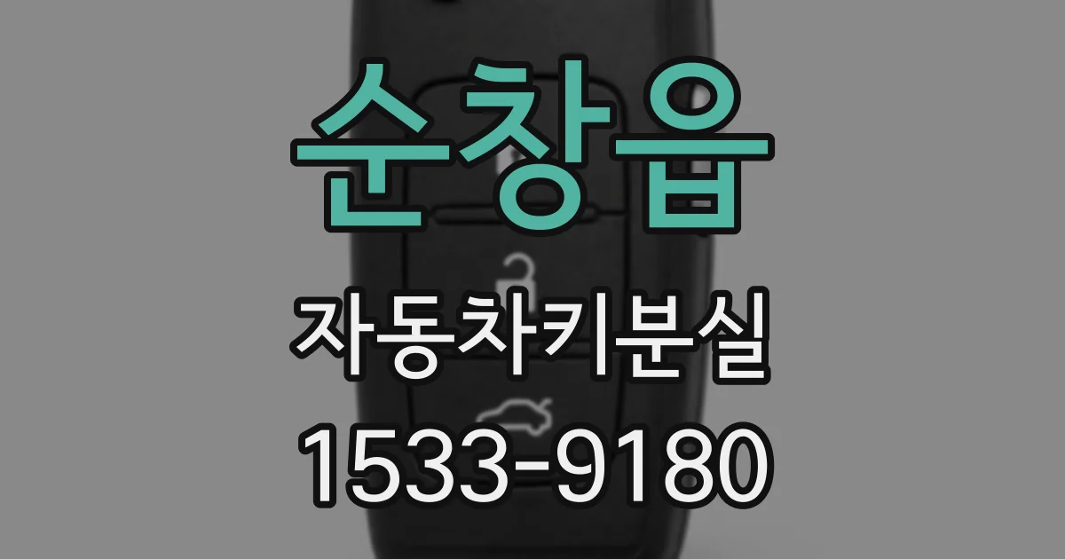 순창읍 자동차키분실