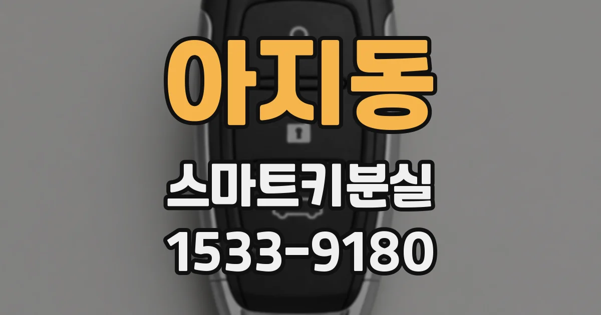아지동 스마트키분실