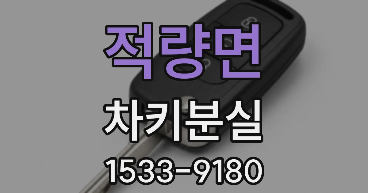 적량면 차키분실