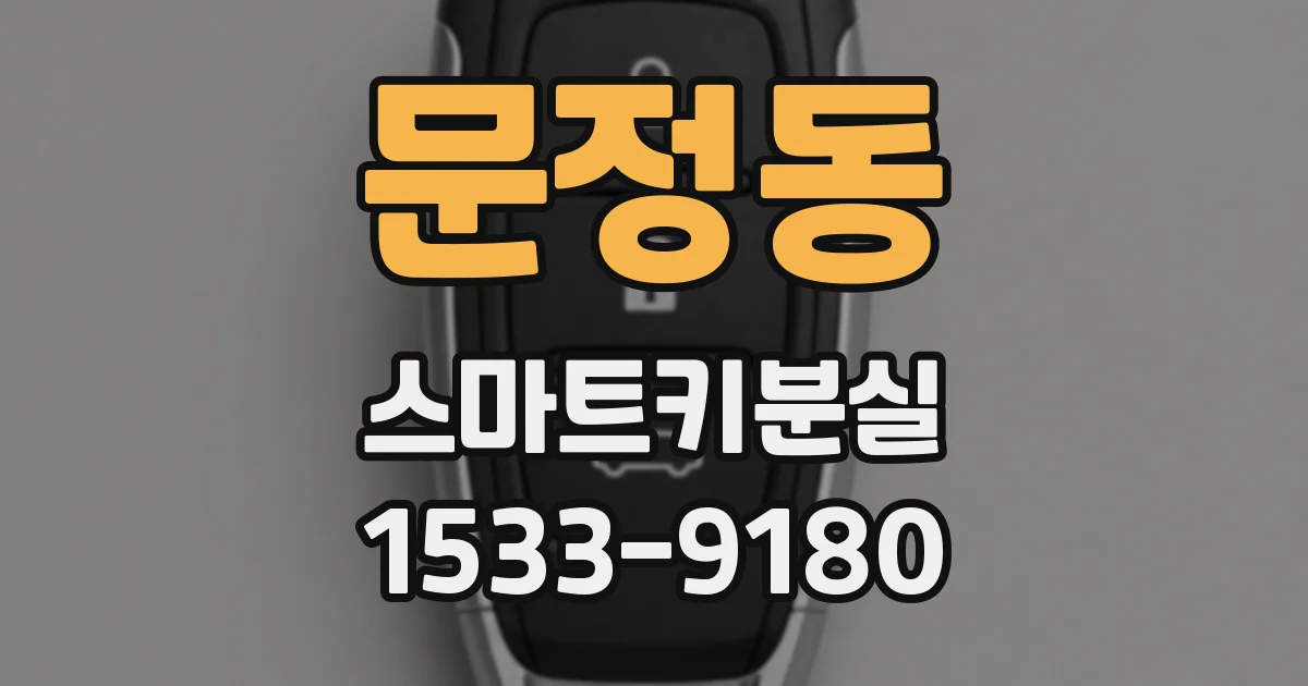 문정동 스마트키분실