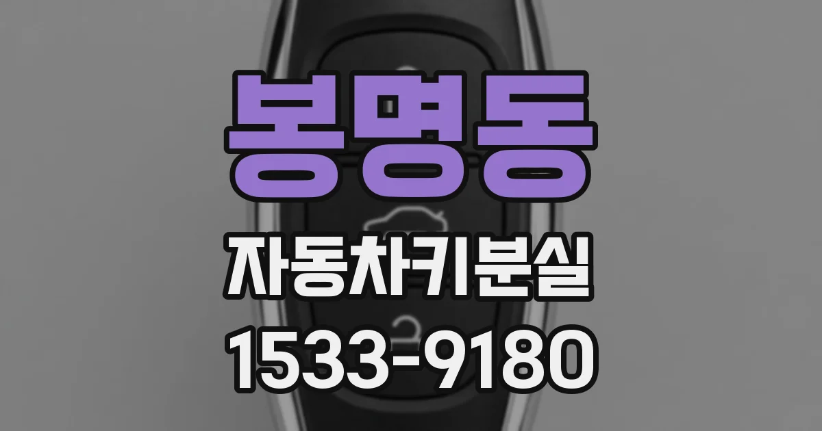 봉명동 자동차키분실