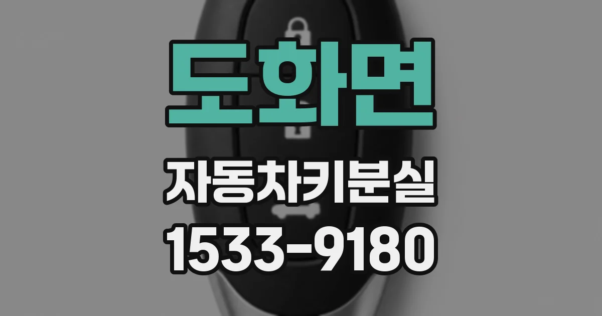 도화면 자동차키분실
