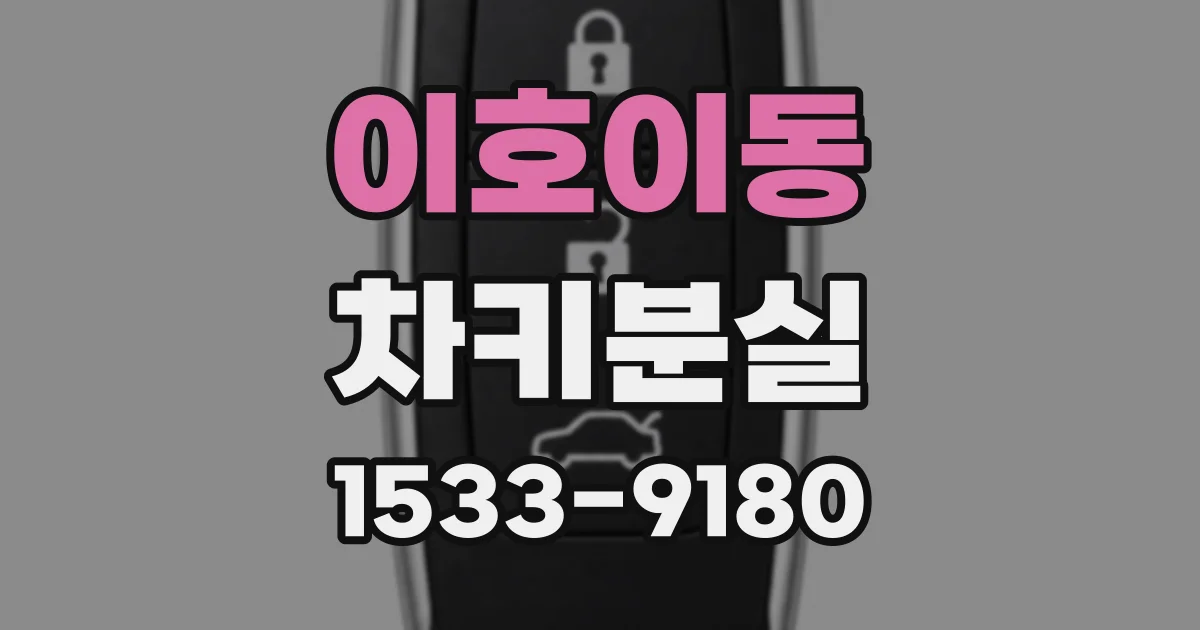이호이동 차키분실