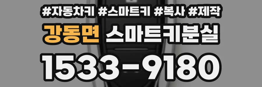 강동면 스마트키분실