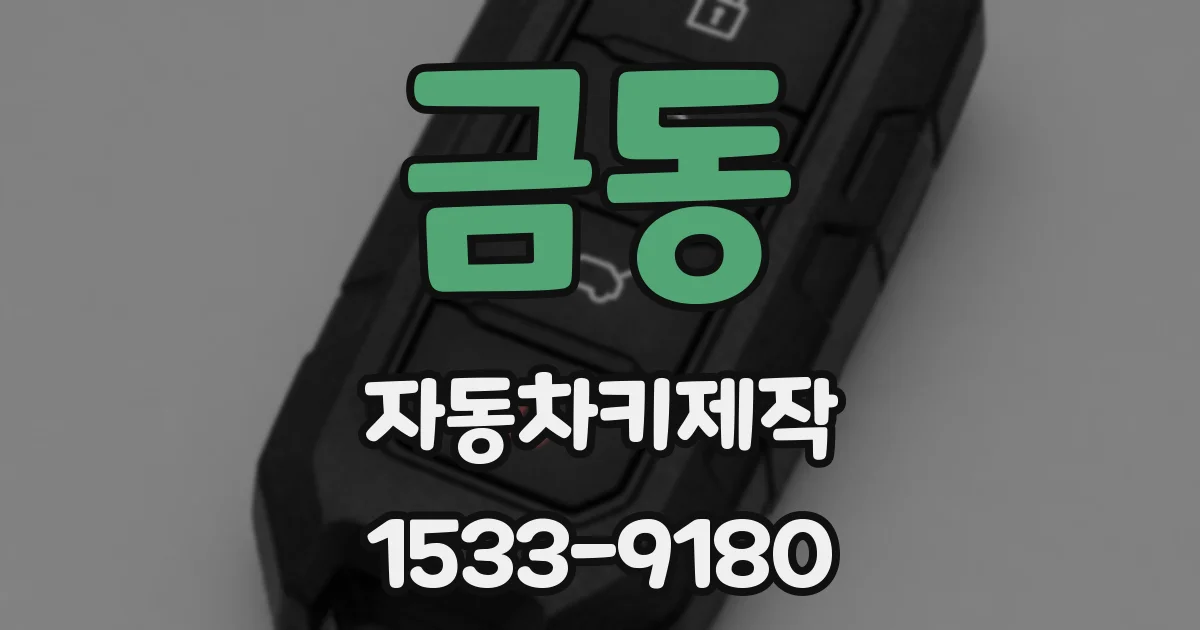 금동 자동차키제작