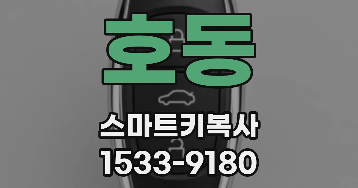 호동 스마트키복사