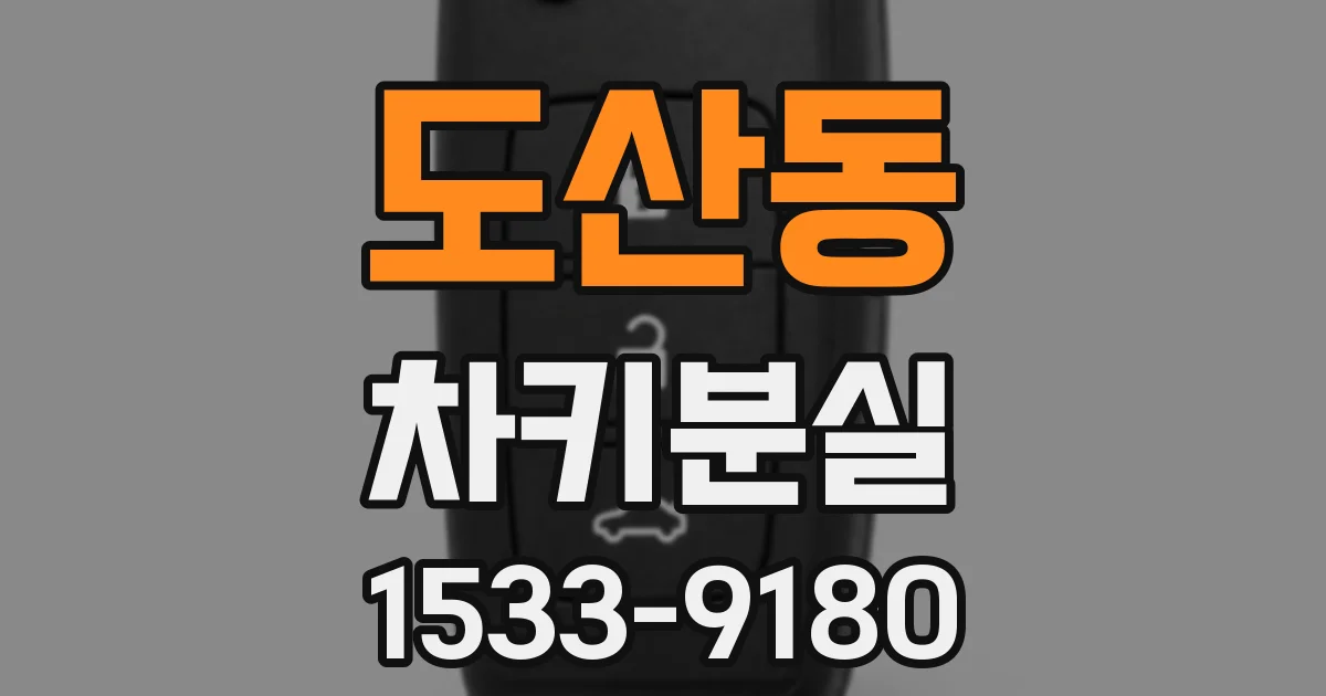 도산동 차키분실