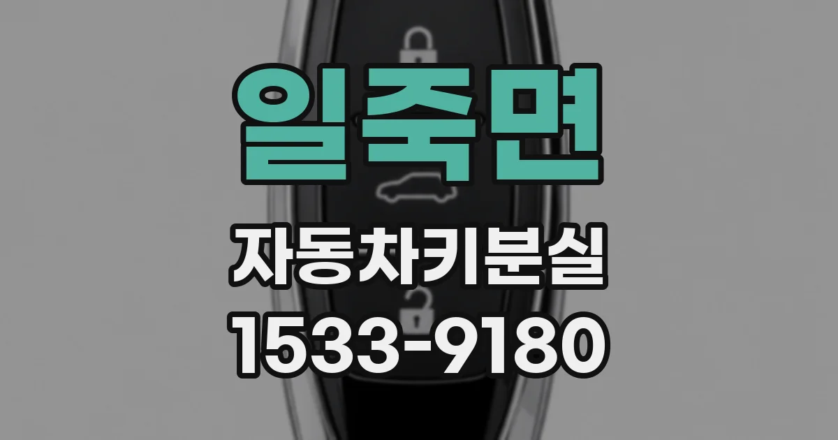 일죽면 자동차키분실