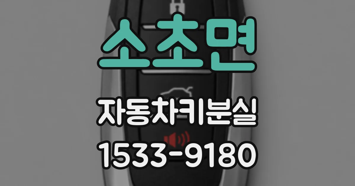 소초면 자동차키분실
