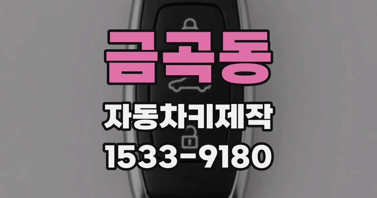 금곡동 자동차키제작
