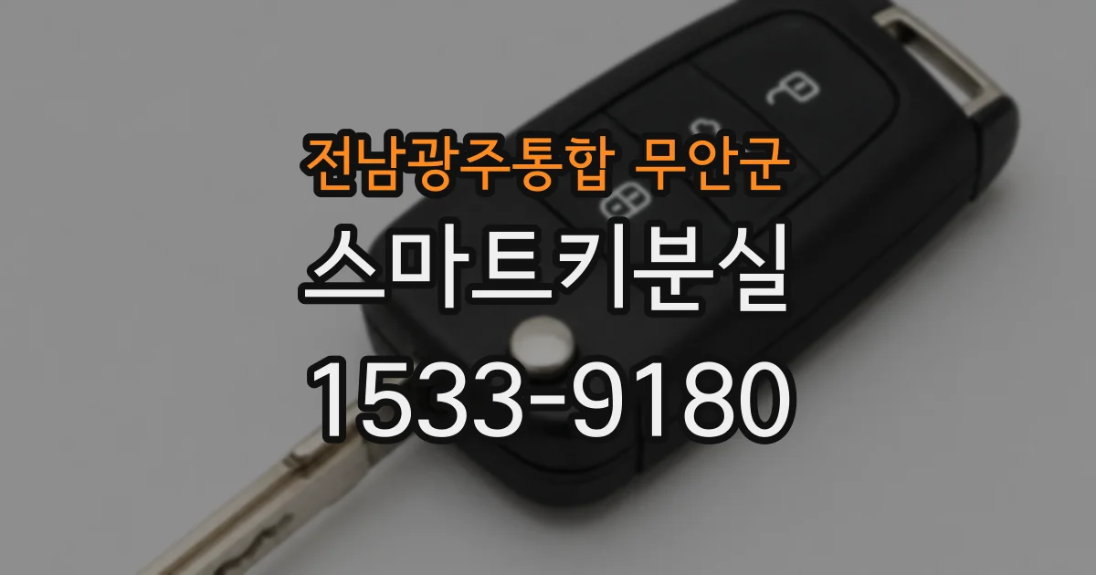 전남광주통합 무안군 스마트키분실