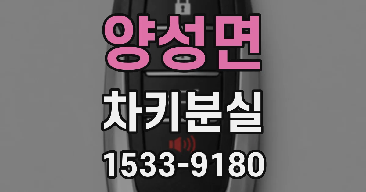 양성면 차키분실