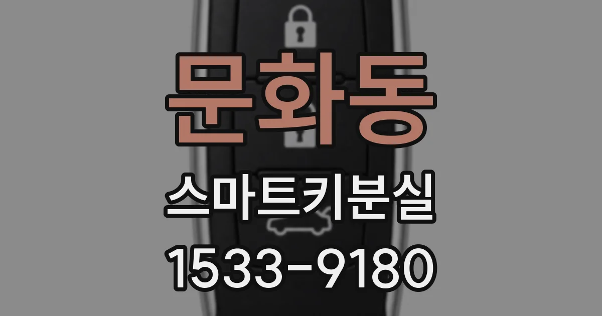 문화동 스마트키분실