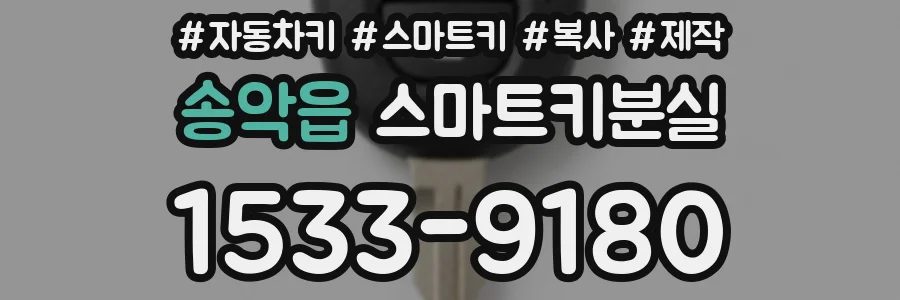 송악읍 스마트키분실
