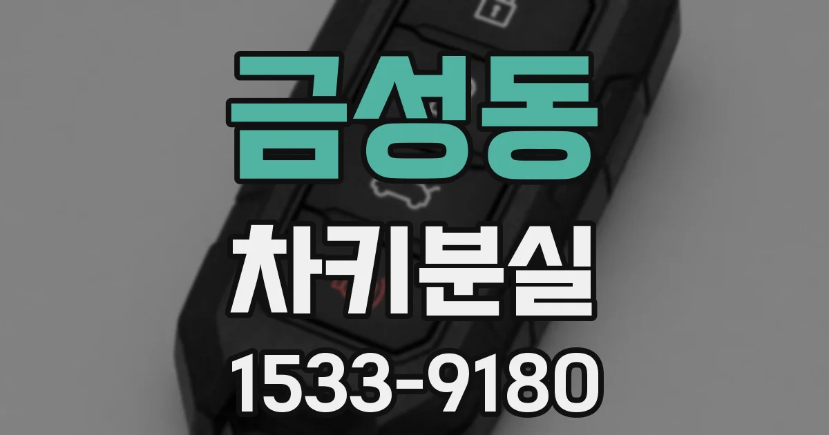 금성동 차키분실