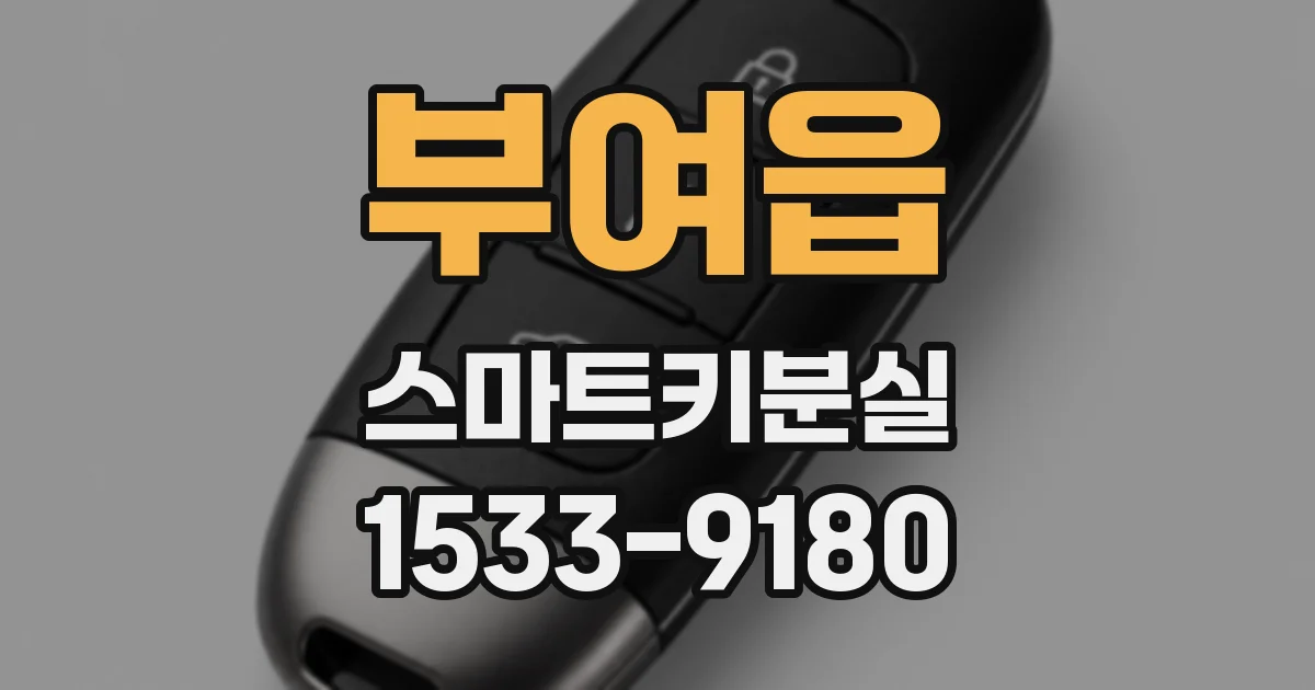 부여읍 스마트키분실