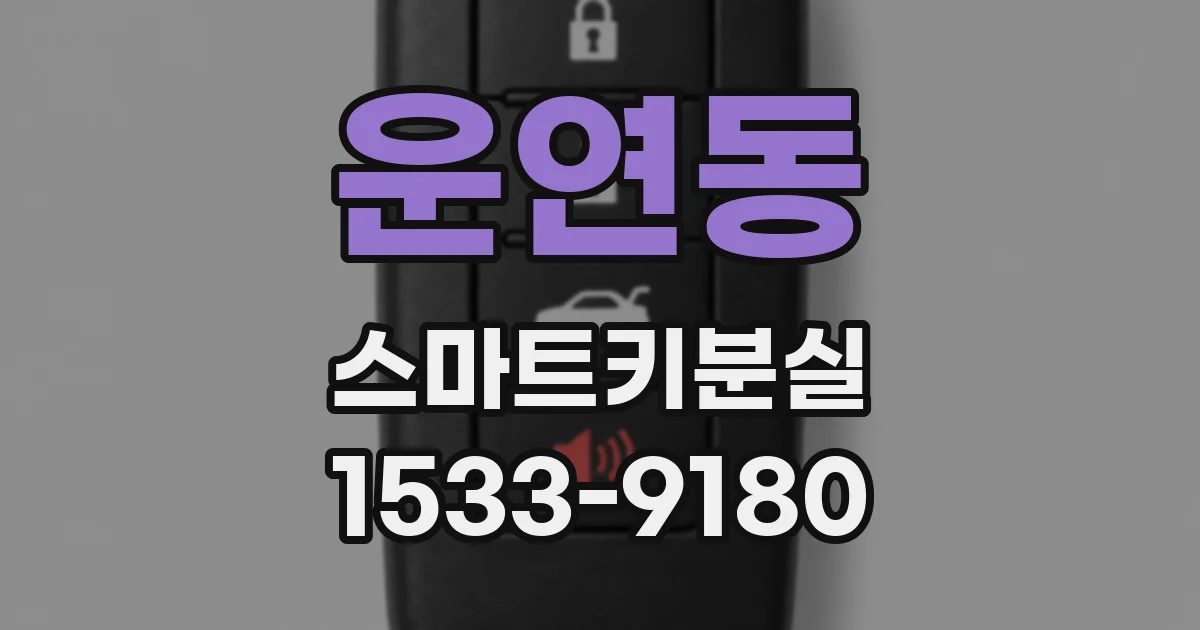운연동 스마트키분실