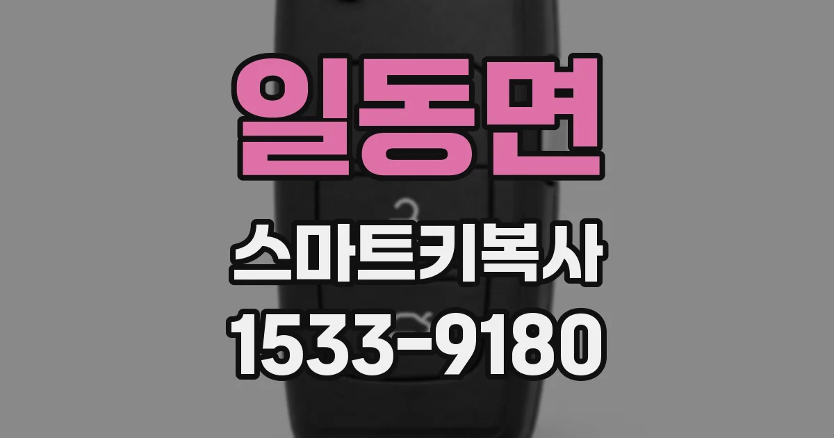 일동면 스마트키복사