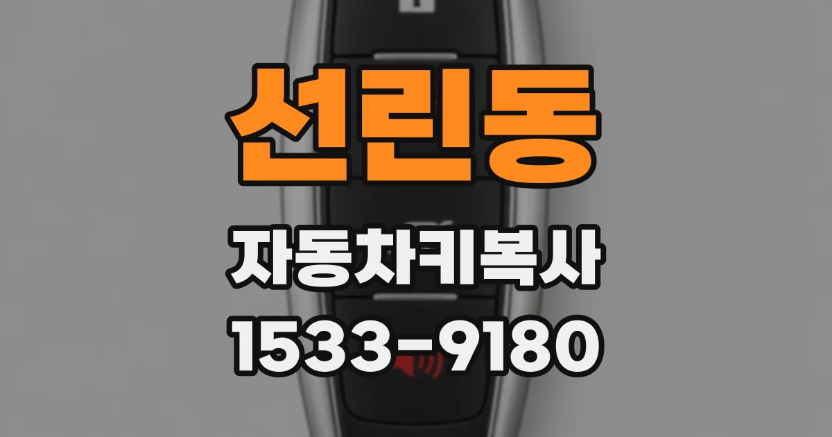선린동 자동차키복사
