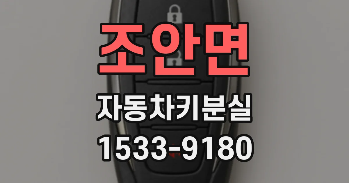 조안면 자동차키분실