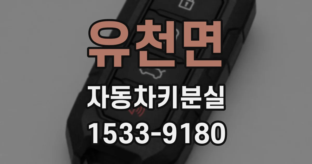 유천면 자동차키분실