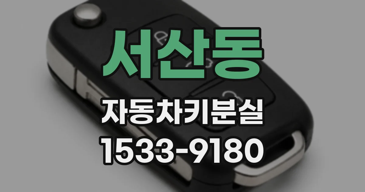 서산동 자동차키분실