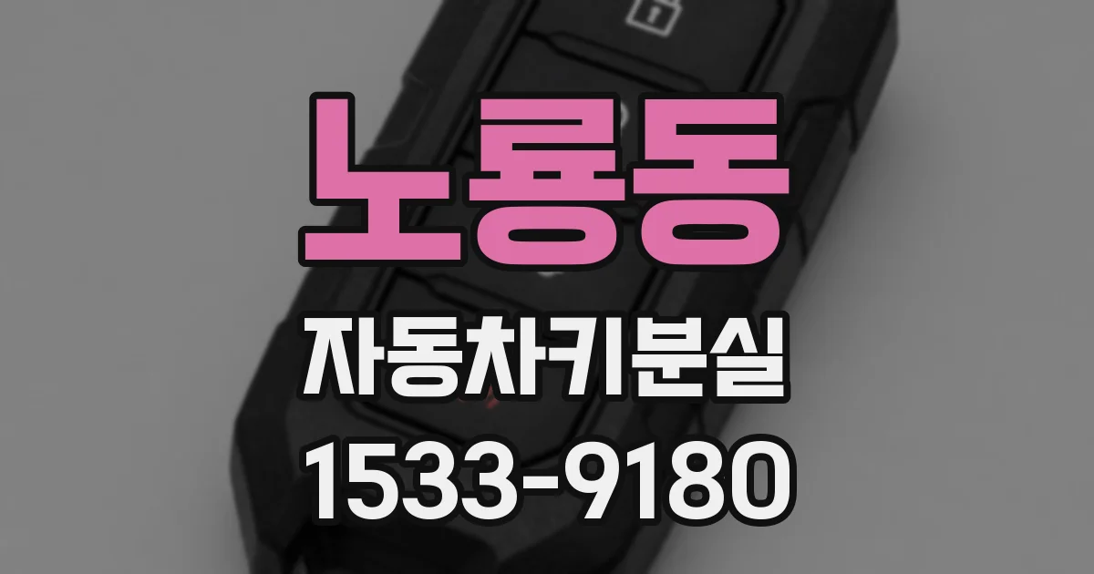 노룡동 자동차키분실
