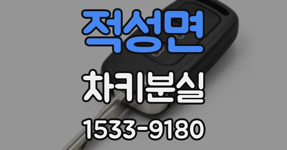 적성면 차키분실
