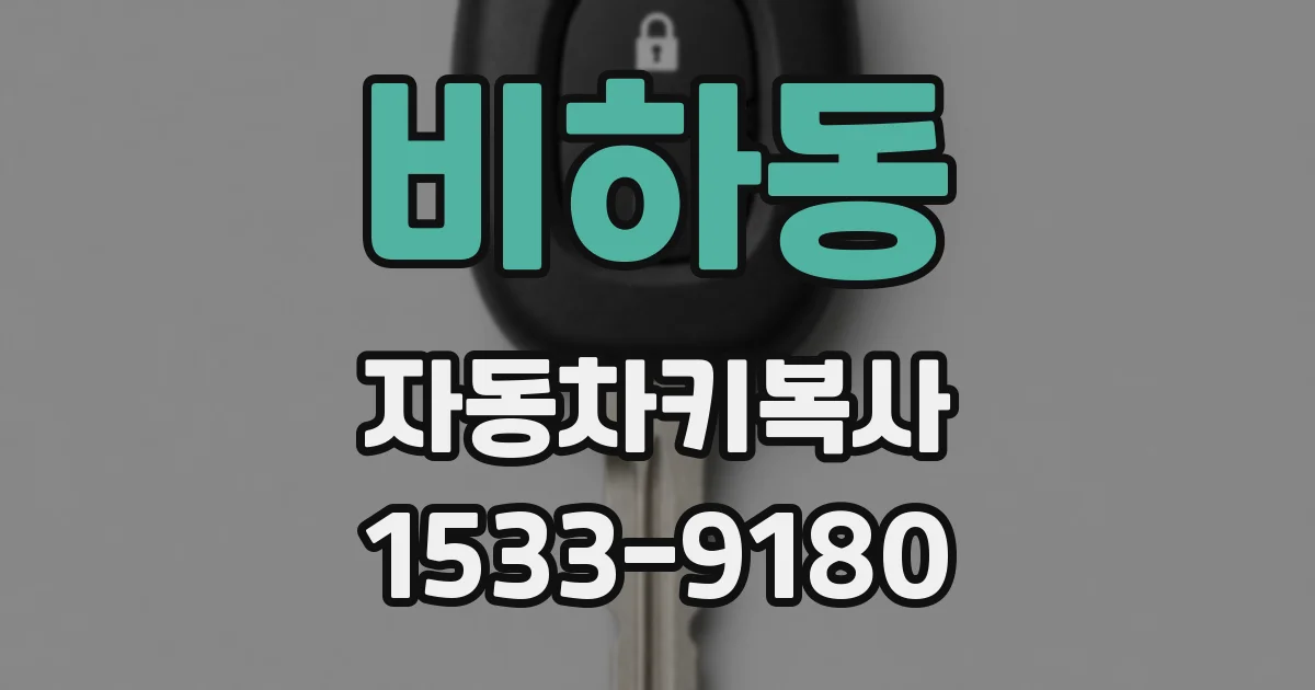 비하동 자동차키복사
