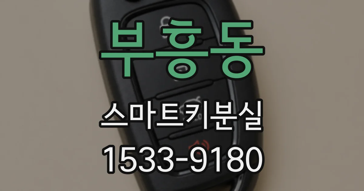부흥동 스마트키분실