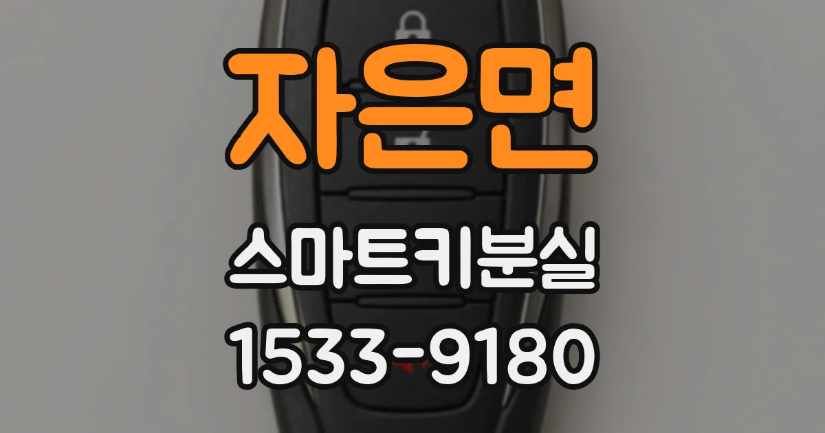 자은면 스마트키분실