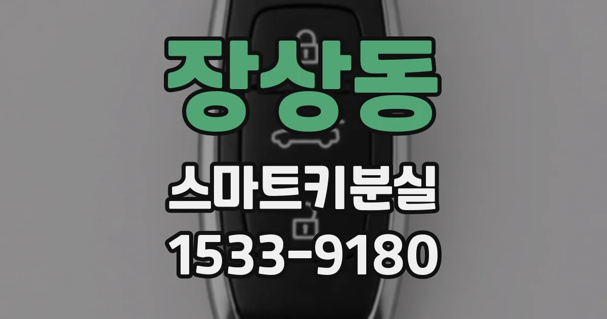 장상동 스마트키분실
